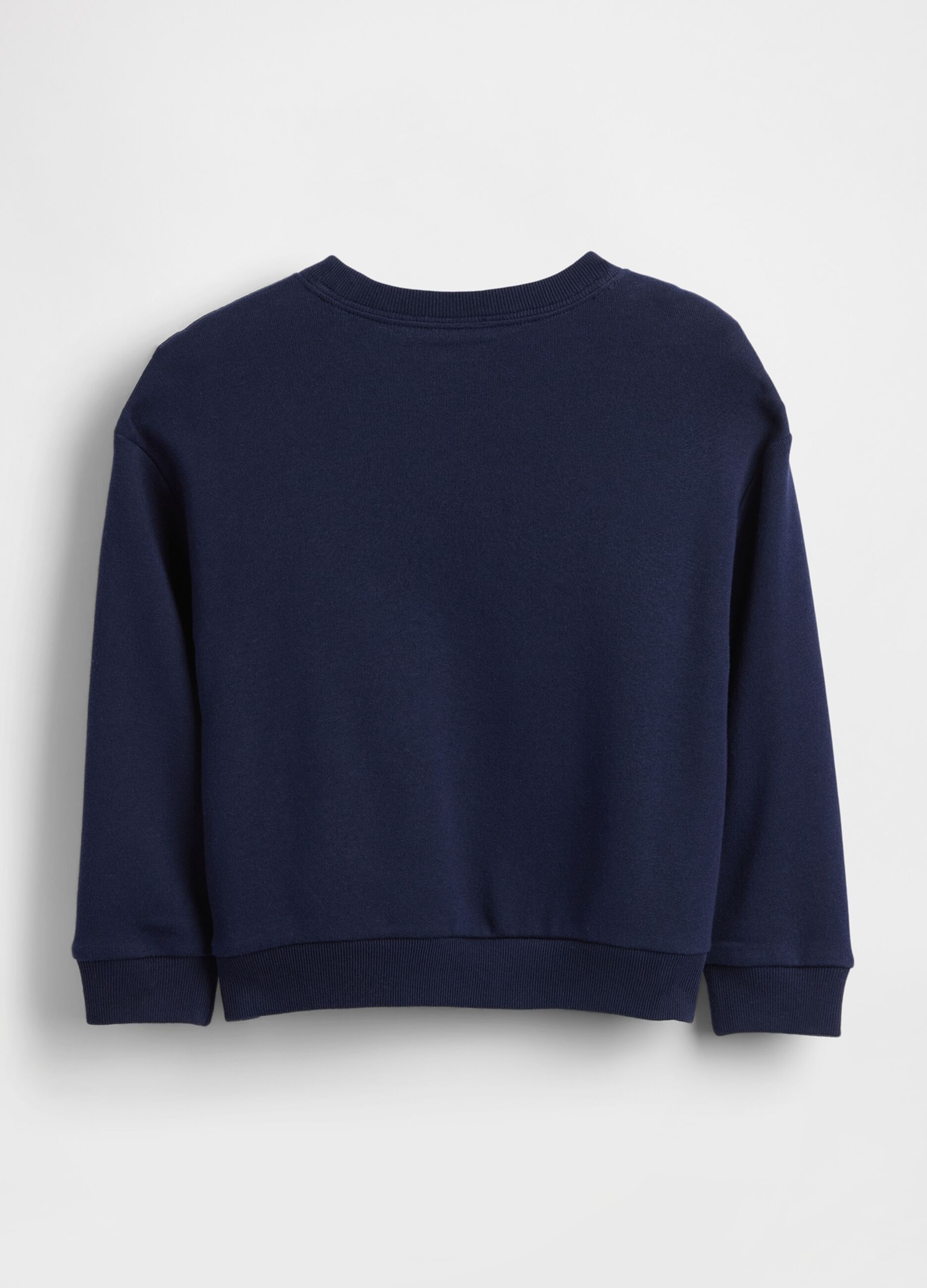 Blue Jumper with Dinosaurs