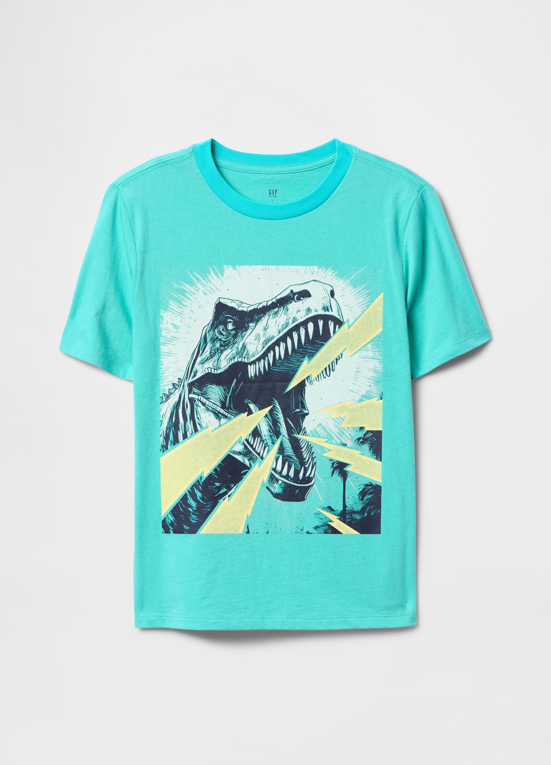 Turquoise Graphic T-shirt with Dinosaur