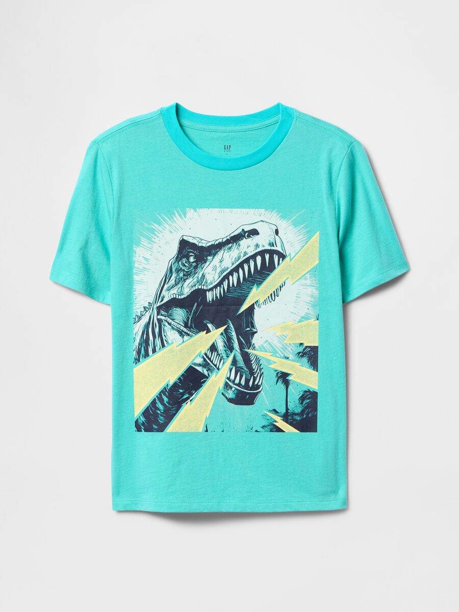 Turquoise Graphic T-shirt with Dinosaur_0