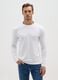 White Regular Fit Pure Cotton T-shirt_1