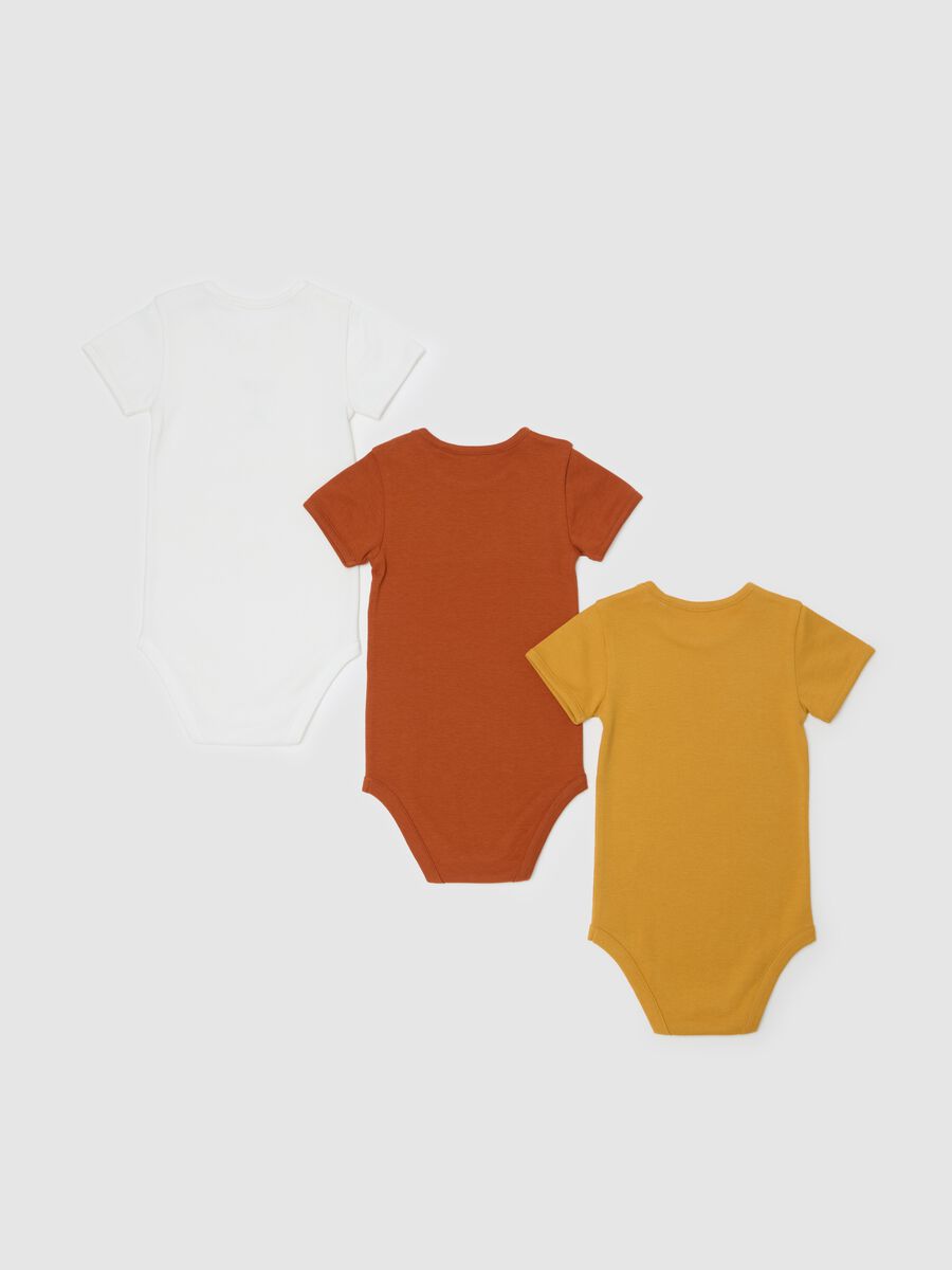 Three-pack organic cotton bodysuits with animals print_1