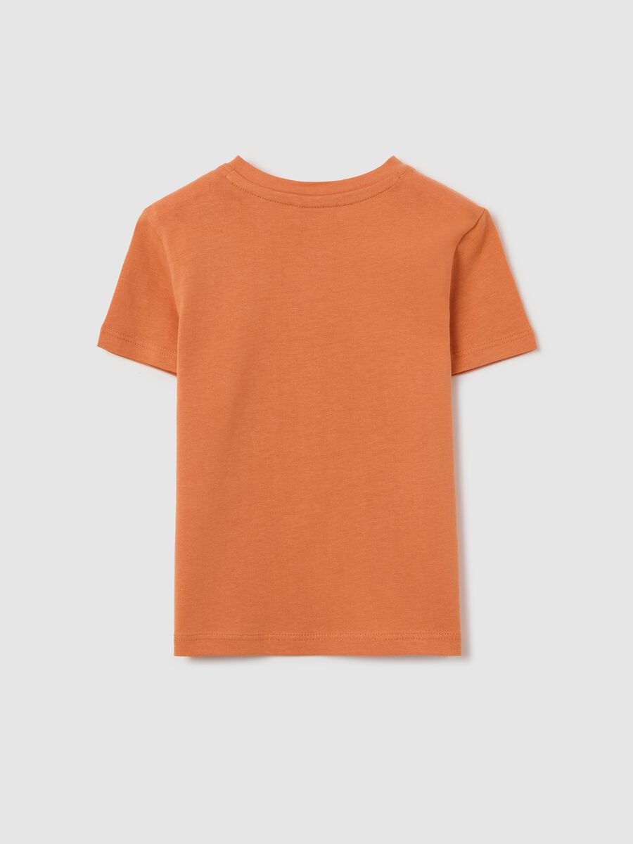 Orange cotton T-shirt with puppy print_1