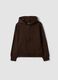 Brown organic cotton hoodie in relaxed fit_0