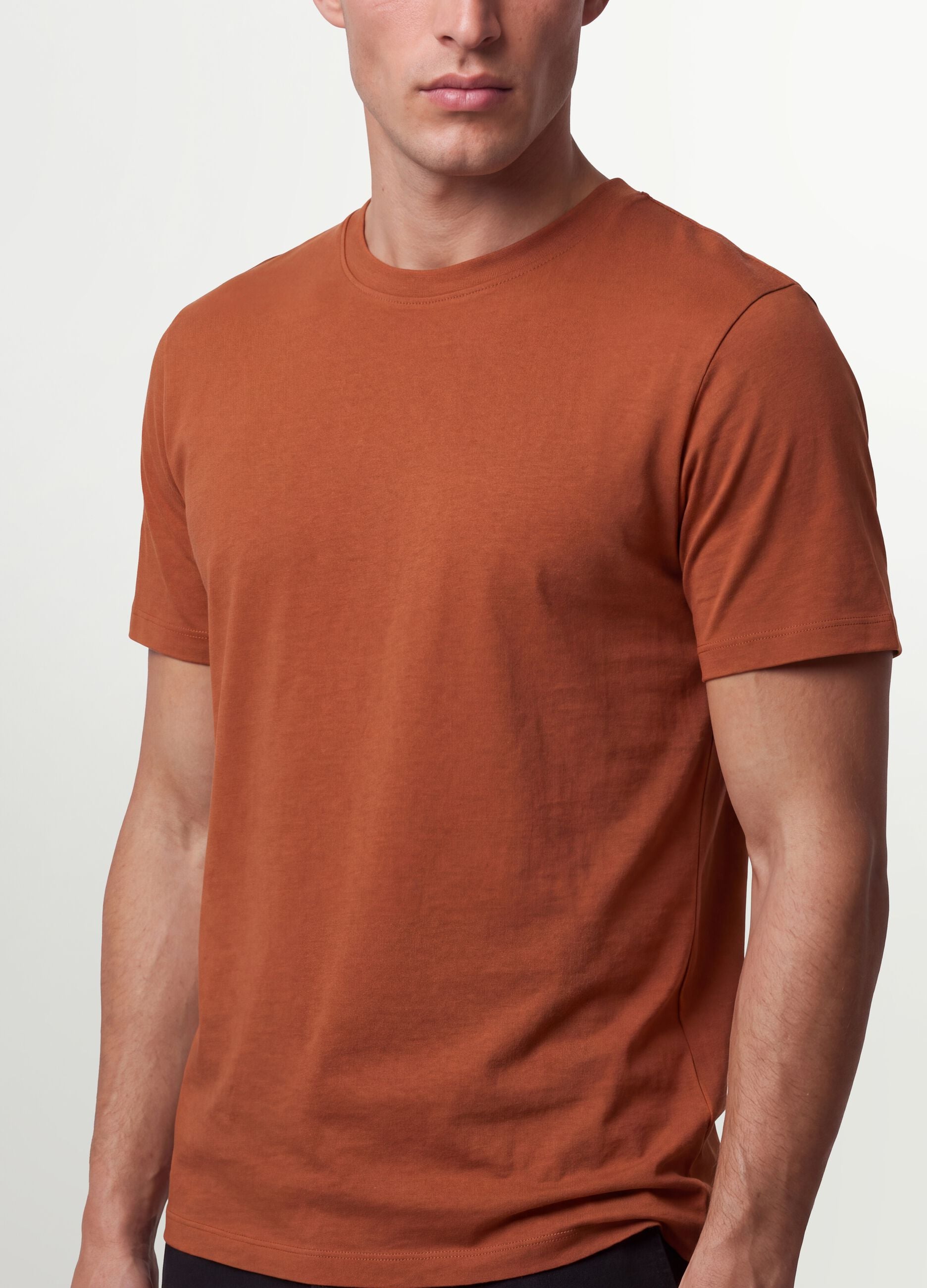 Brown regular-fit T-shirt in pure organic cotton jersey