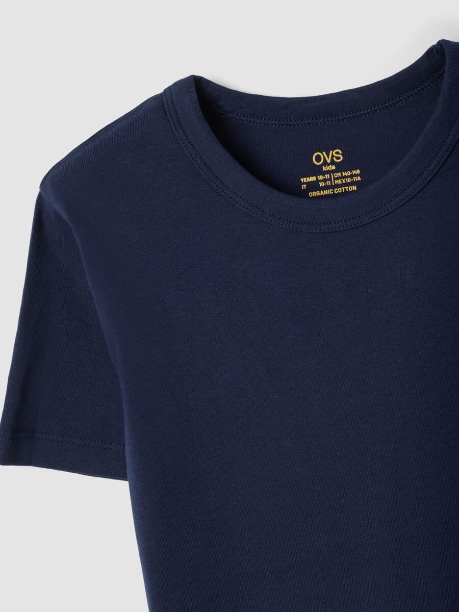2-pack blue and grey organic cotton crew-neck T-shirts_2