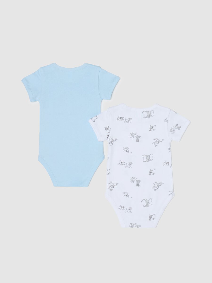 Two-pack short-sleeved bodysuits with Lucky and Rolly print_1