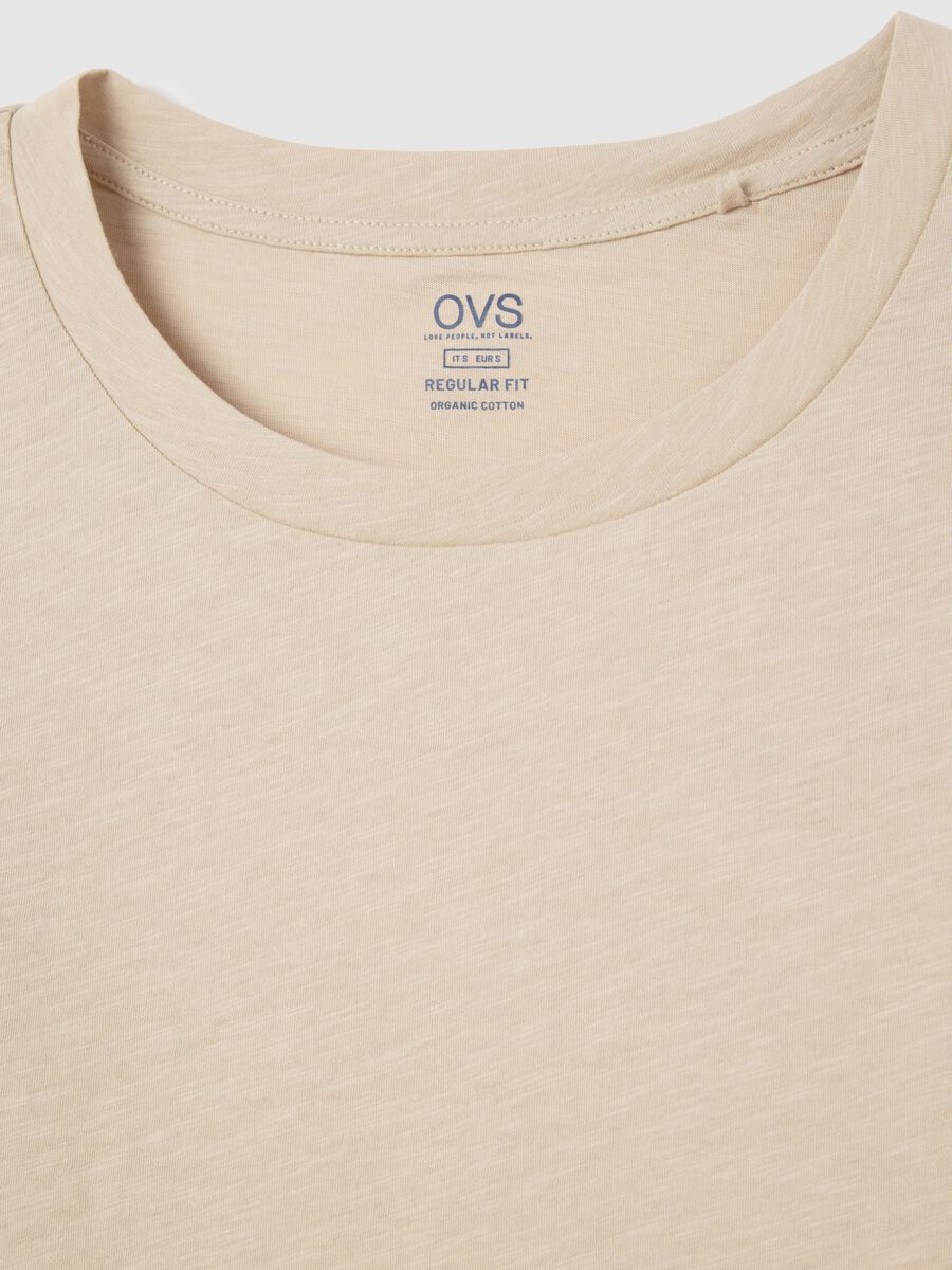 Beige Crew Neck Organic Cotton T-shirt_5