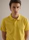Yellow short-sleeved pure cotton polo regular fit_3