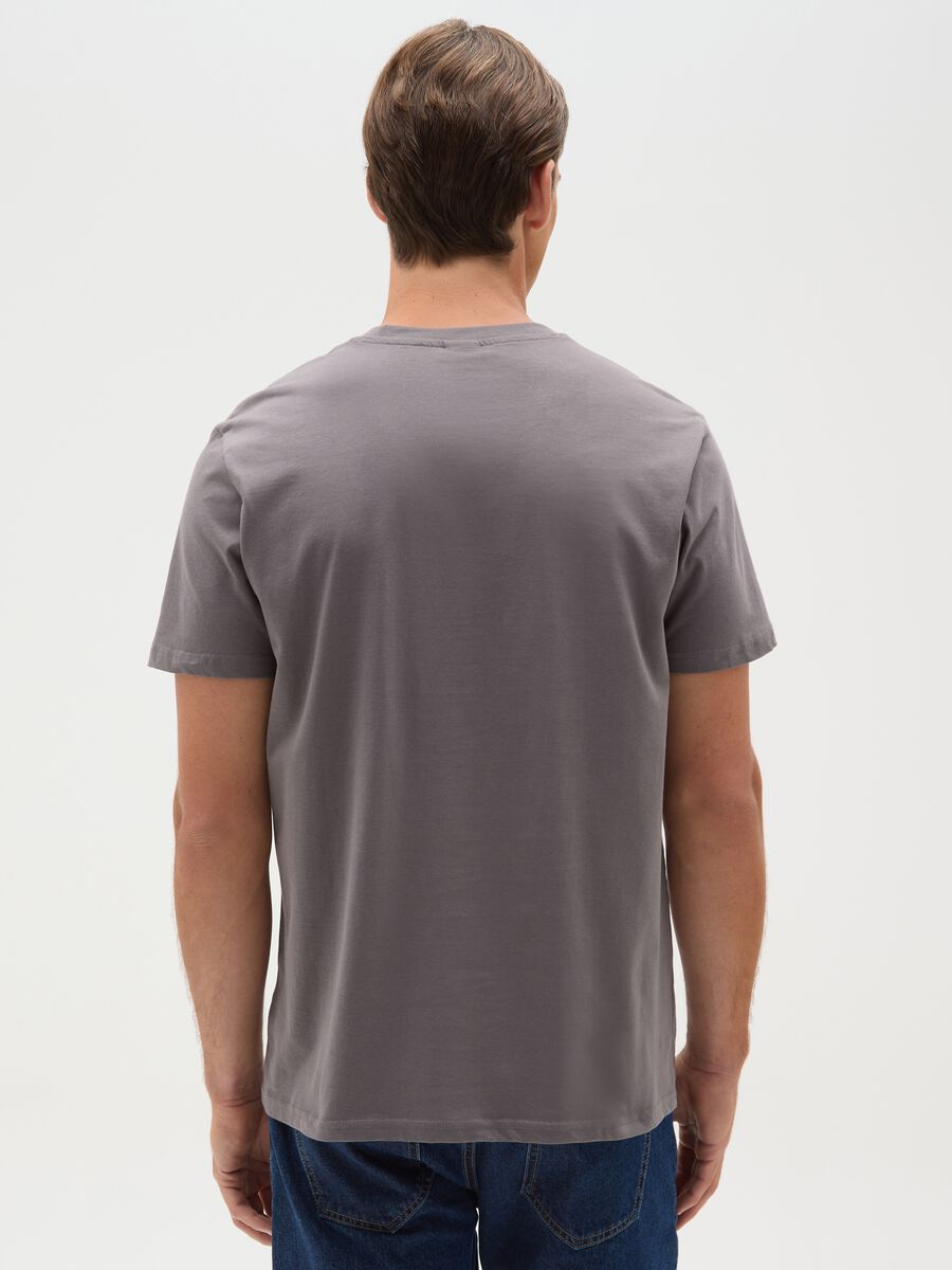 Men's grey pure cotton t-shirt regular fit with One Piece print_3