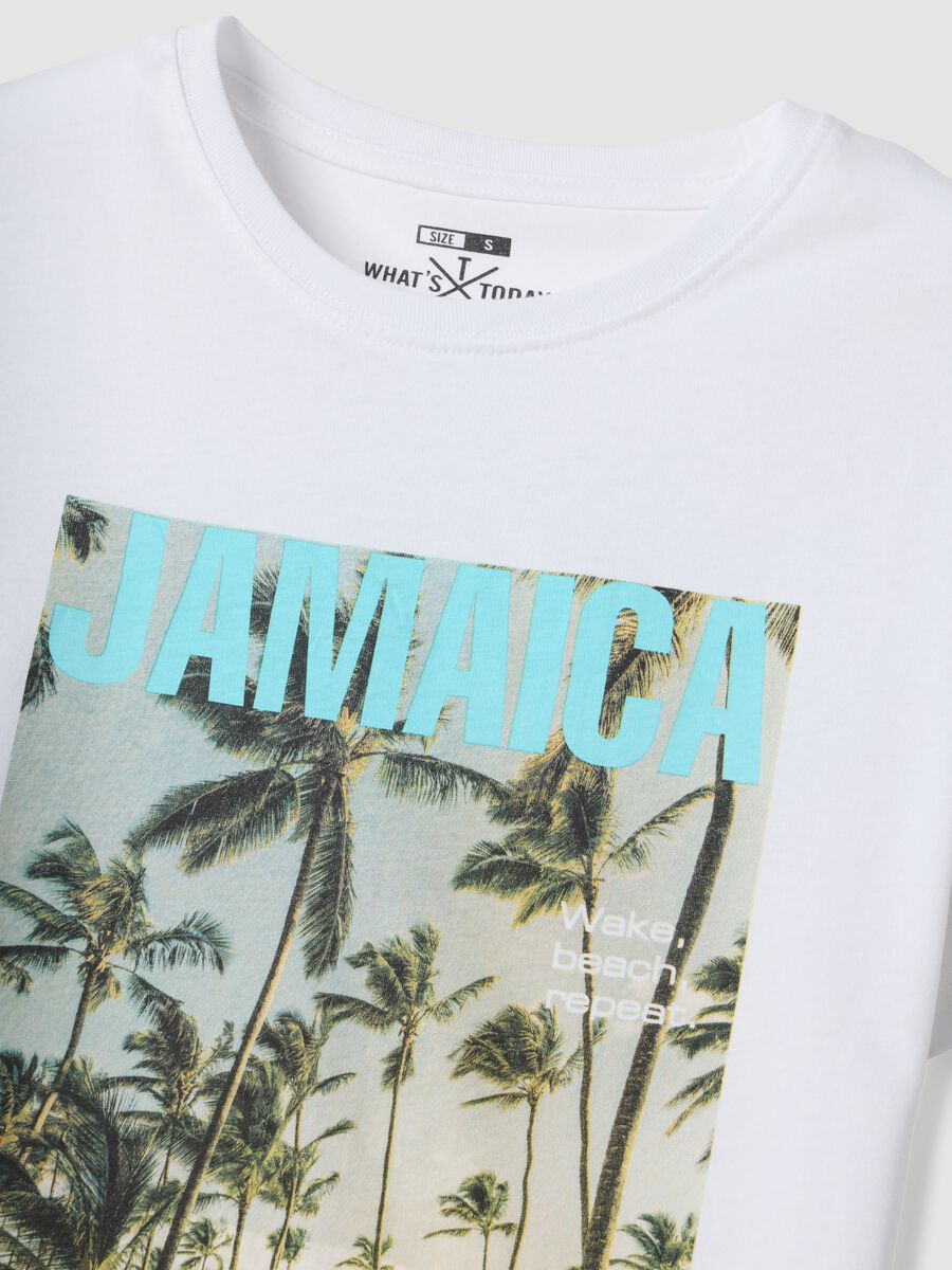White pure cotton T-shirt with front print, regular fit_1