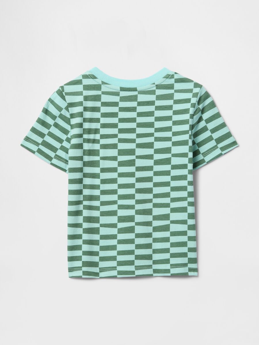 Green and Blue Striped T-Shirt_1