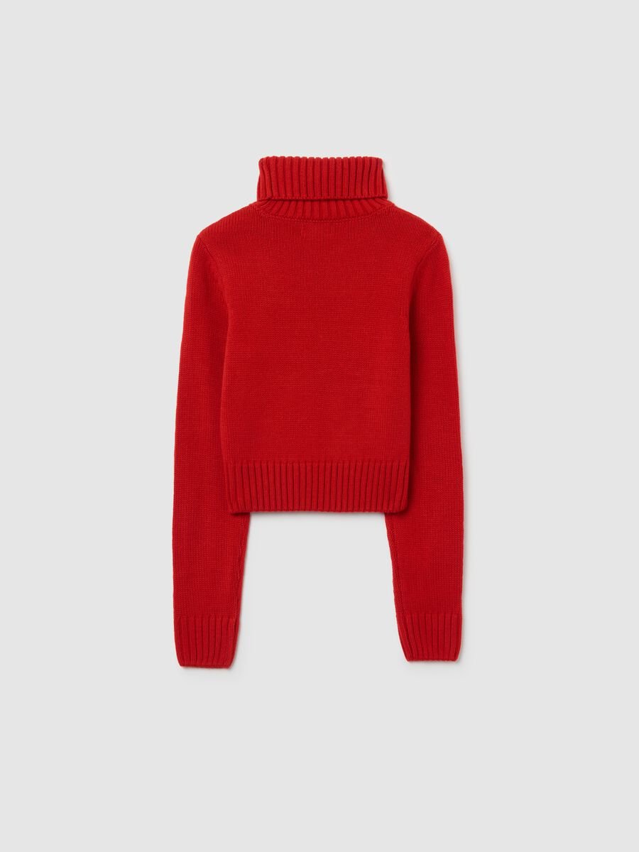 Girls' Regular Fit Red Turtleneck Sweater_4