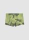 Green dinosaur-print stretch swim trunks_1