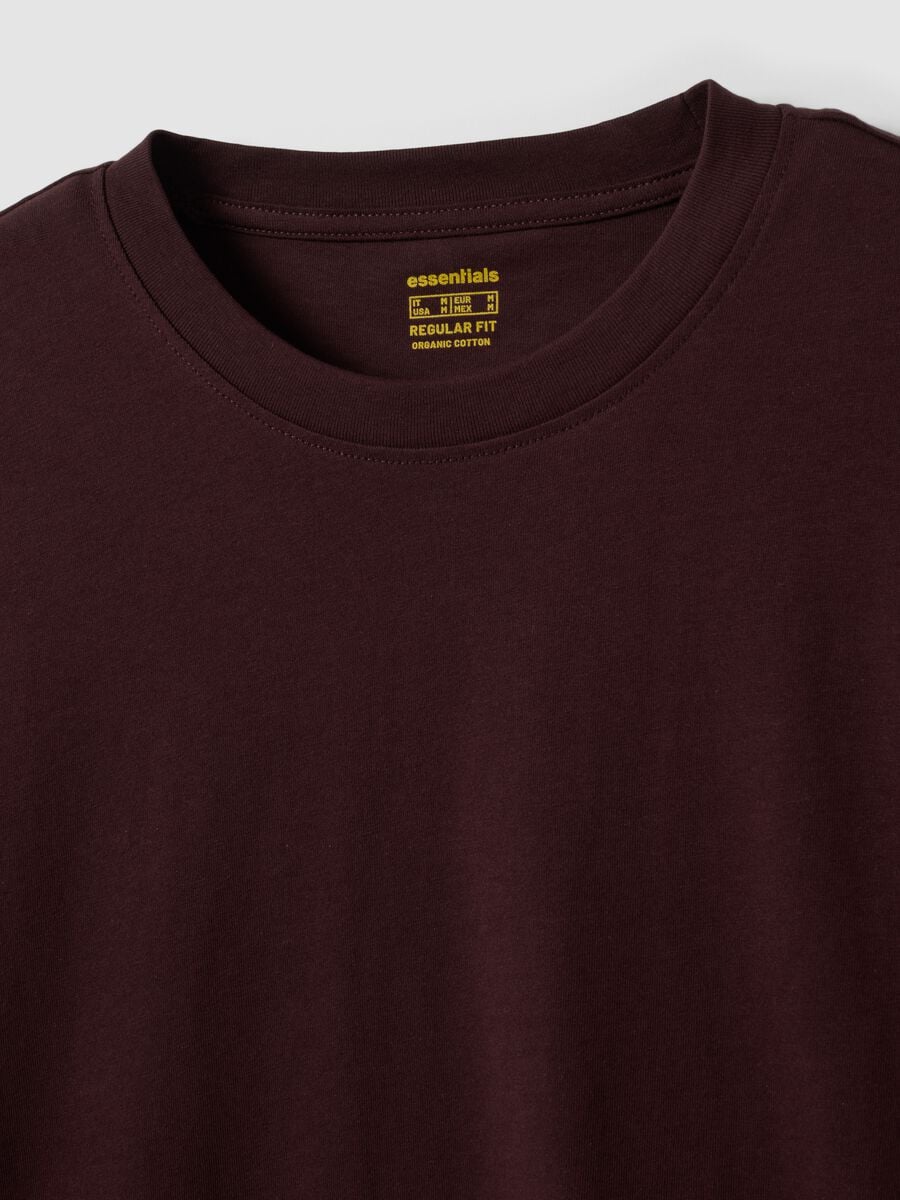 T-shirt marrone a maniche lunghe in puro cotone organico con girocollo_2