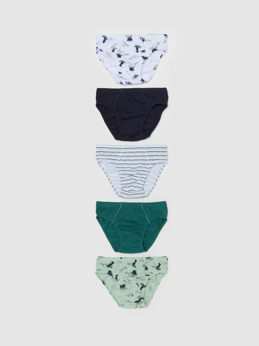 Set cinque slip in cotone bio stampa dinosauri_0