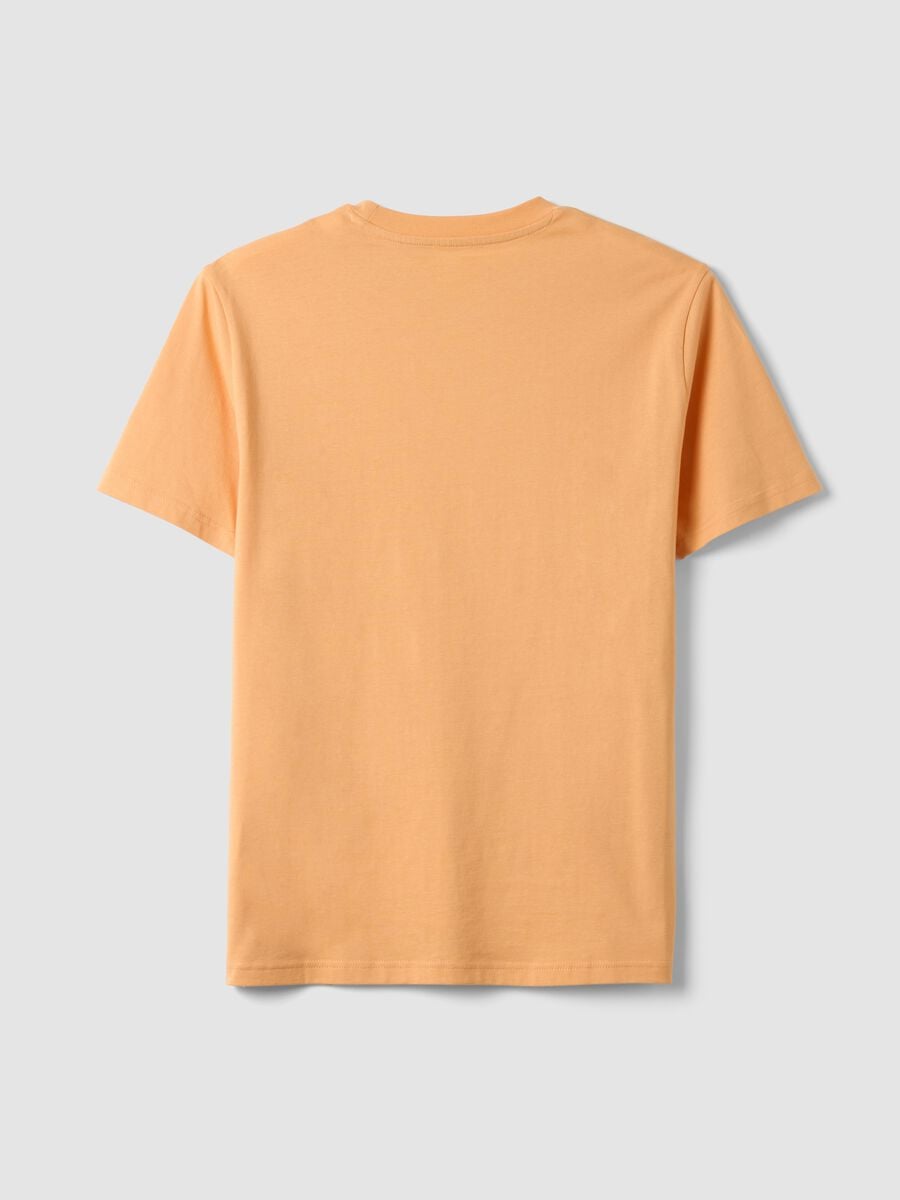 Orange pure cotton jersey T-shirt with chest print, regular fit_5