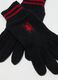 Black Gloves with Red Spider_1