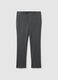 Grey Regular Fit Trousers_4