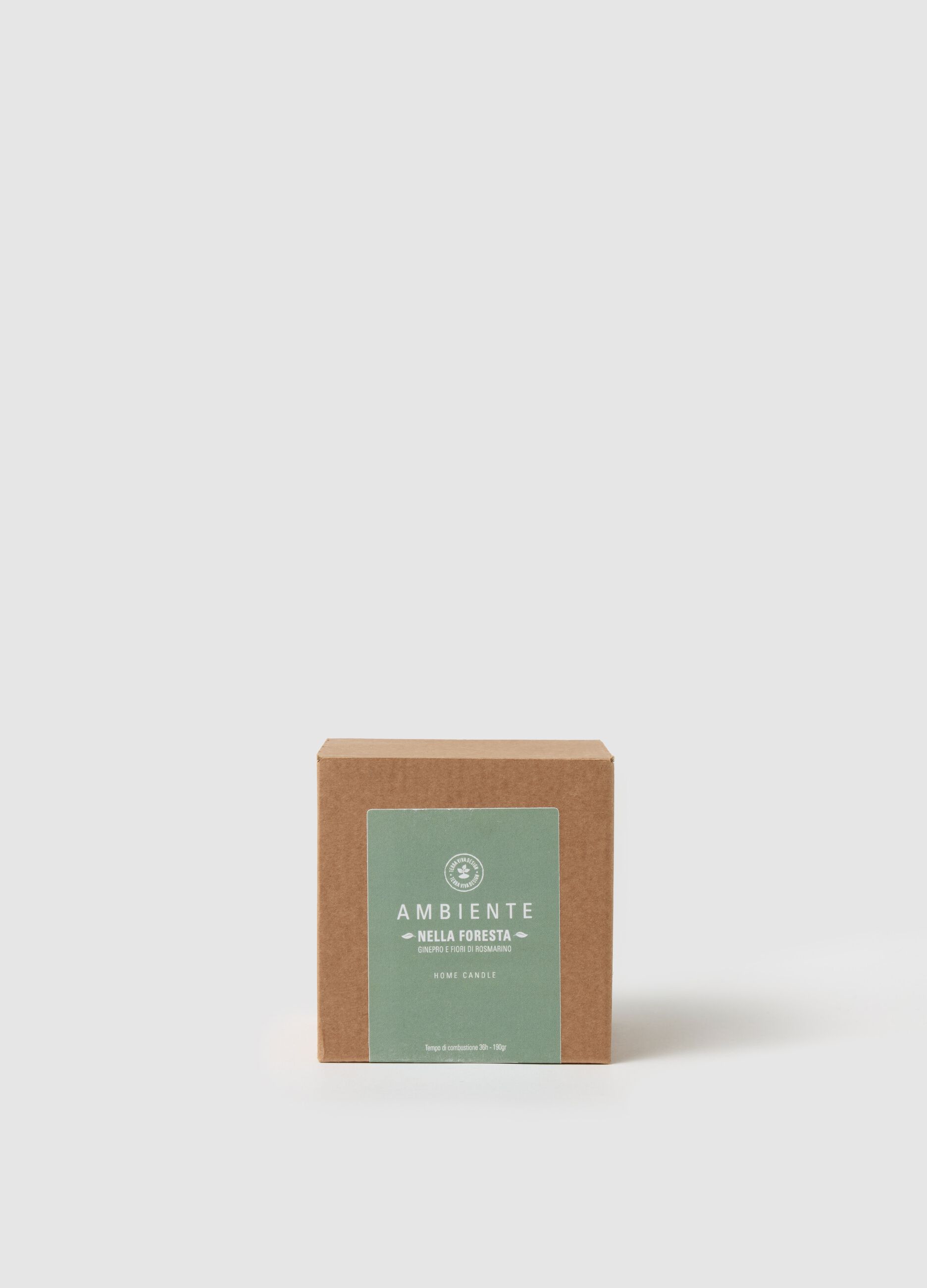 "In the Forest" ambient candle