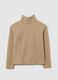 Beige High Neck Regular Fit Jumper_4