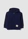 Blue pure cotton hoodie with regular fit for boys_3