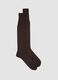Brown knee-high socks in pure cotton_0