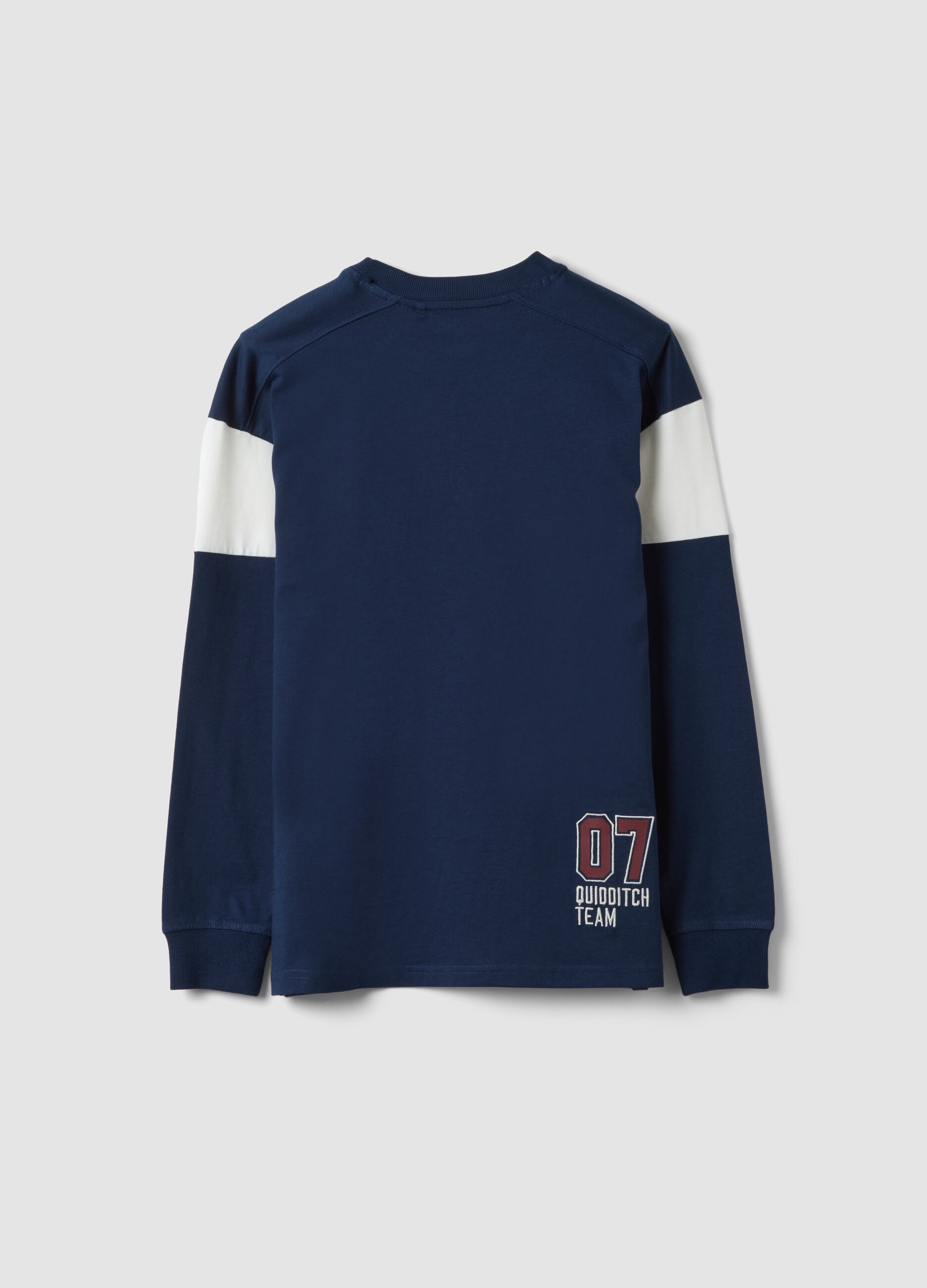Blue pure cotton crew-neck Harry Potter print T-shirt for boys