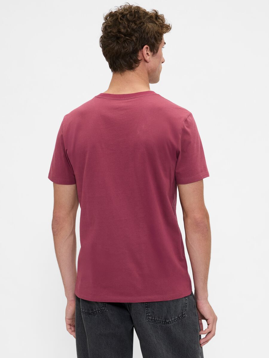 Pink cotton t-shirt with logo_1