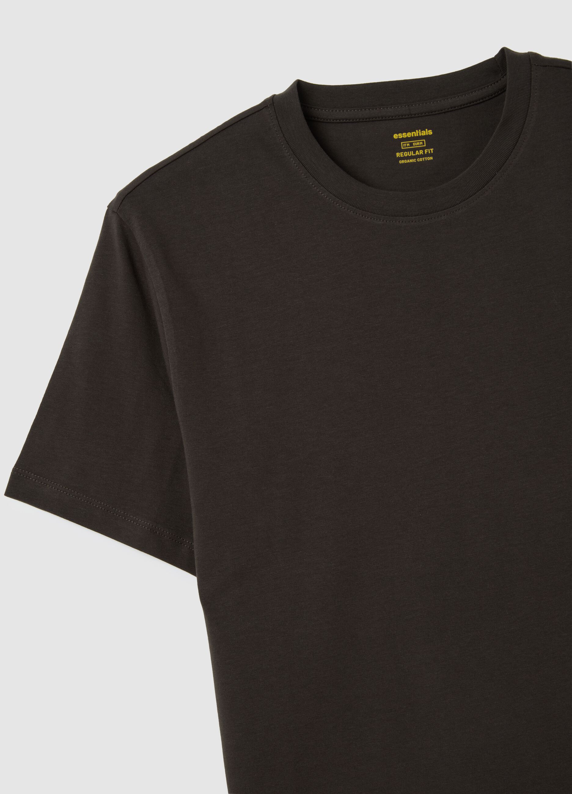 brown pure cotton t-shirt regular fit