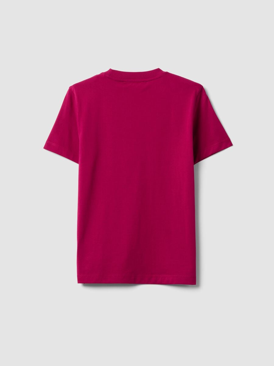 Pink regular-fit crew-neck T-shirt in pure Supima cotton_6
