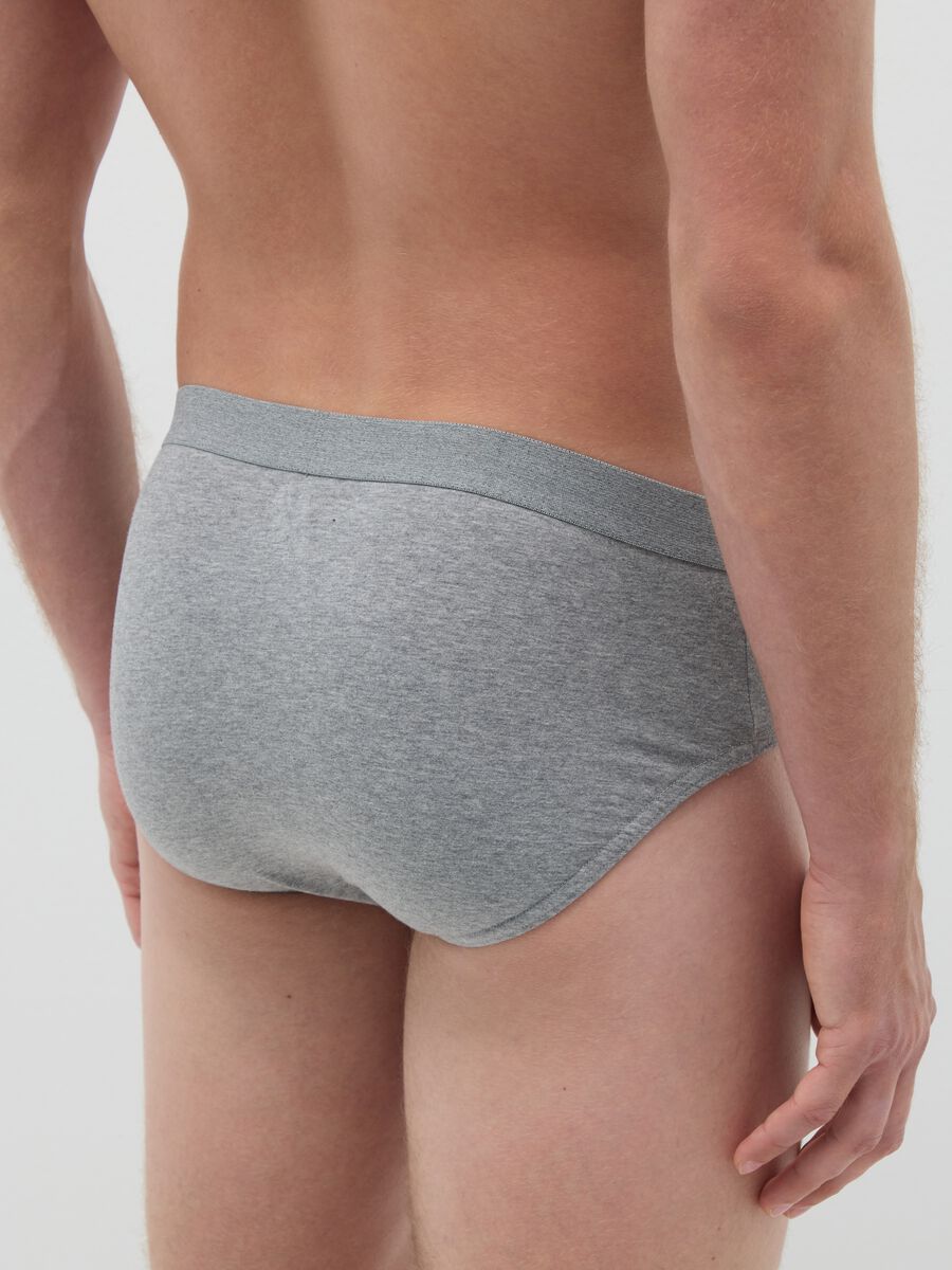 Grey Cotton Regular Fit Triple Pack Briefs Set_3