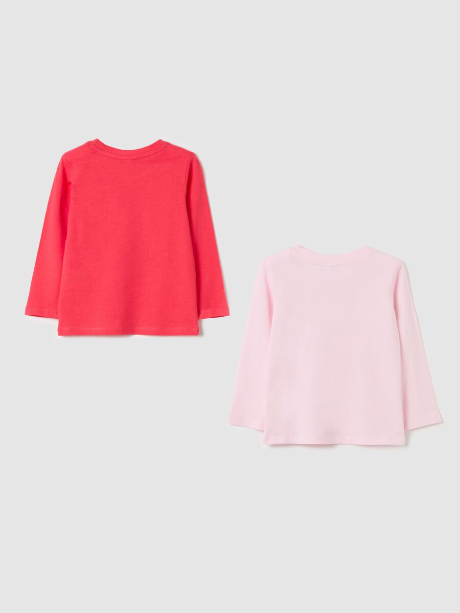 Two-pack long-sleeved T-shirts in cotton with print_1