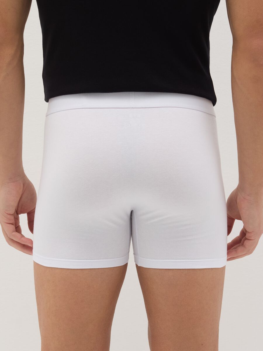 Midi boxer shorts in stretch cotton_3