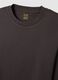 Regular fit brown pure cotton t-shirt_5