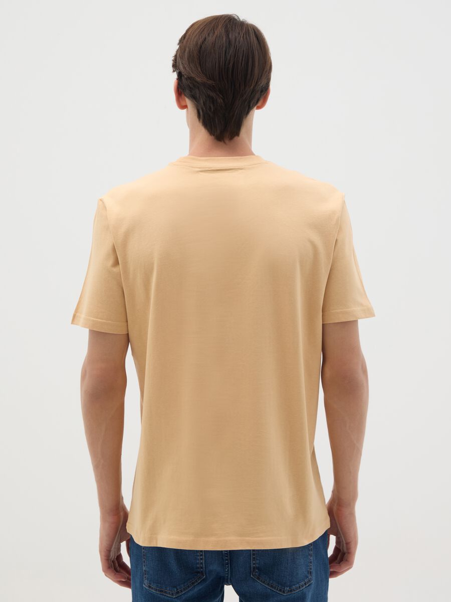T-shirt in puro cotone multicolor regular fit_3