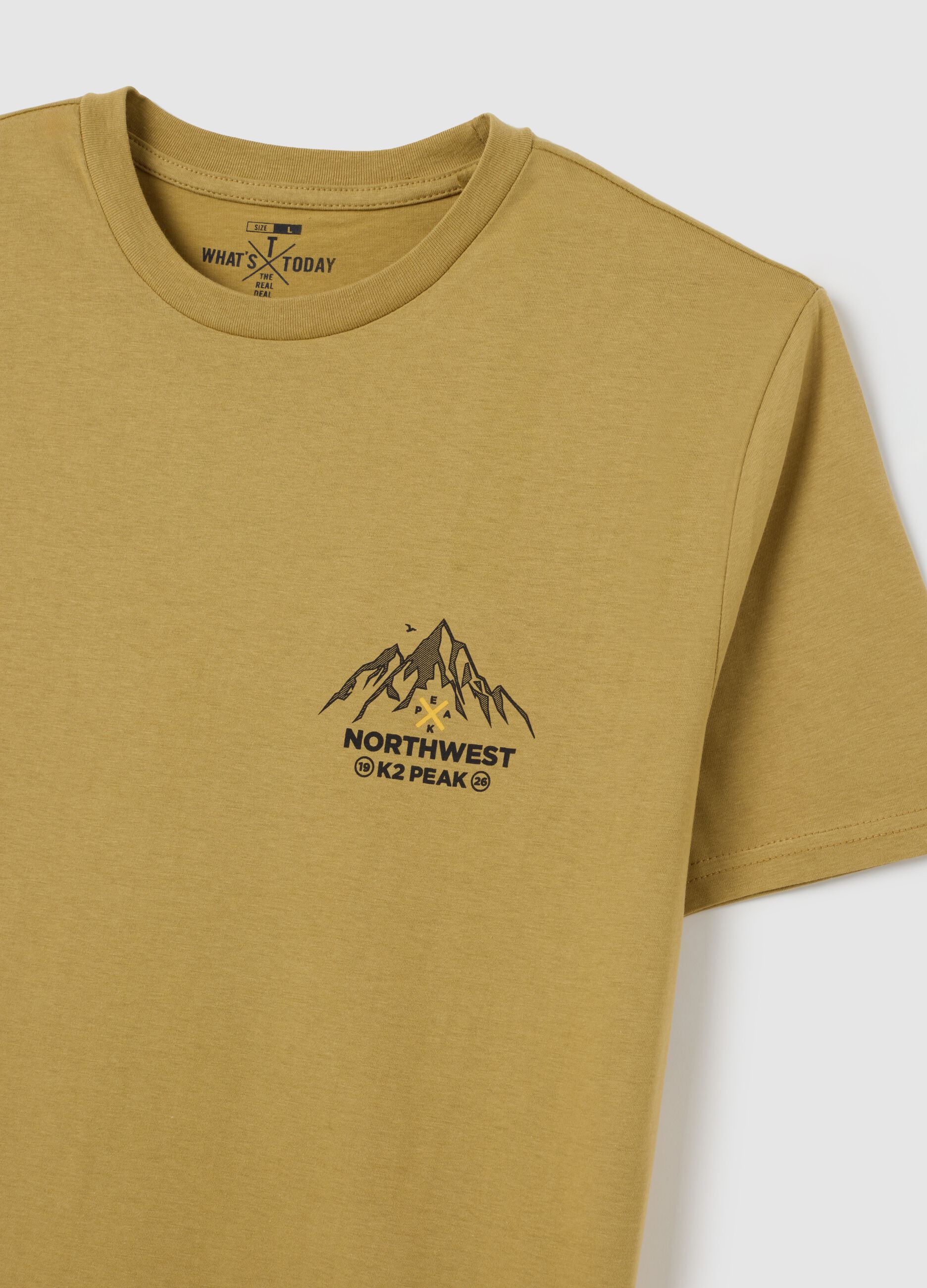 Men's beige pure cotton t-shirt regular fit