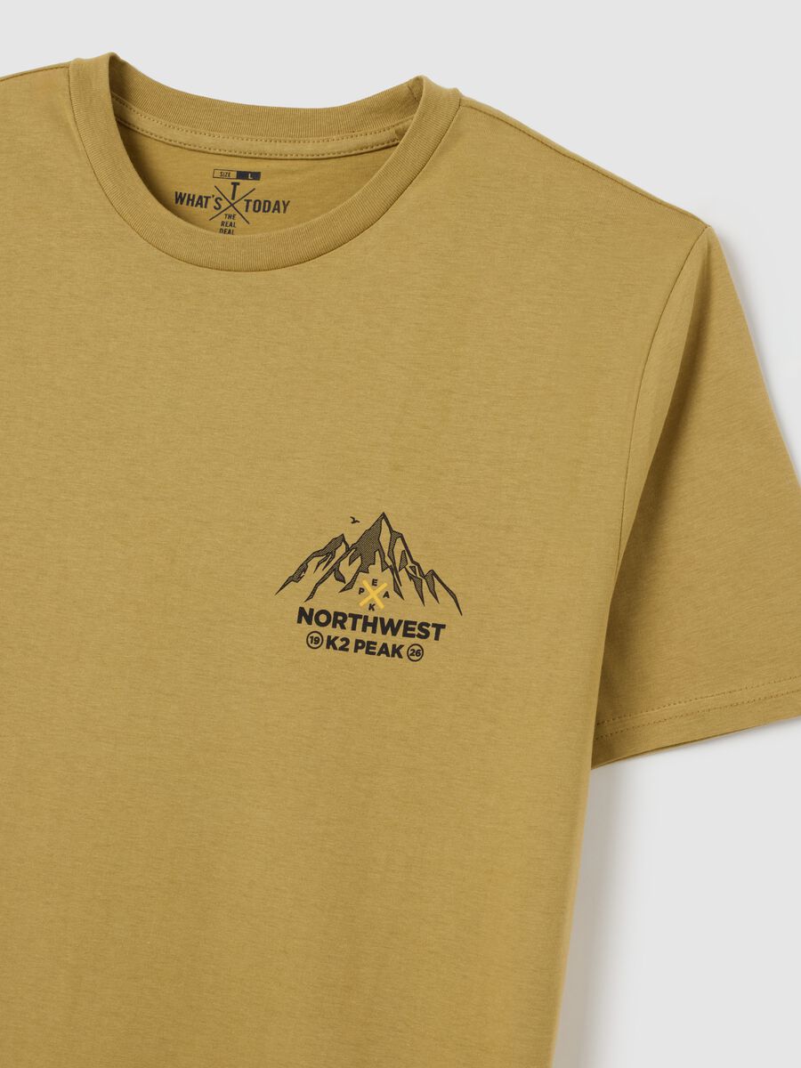 Men's beige pure cotton t-shirt regular fit_1