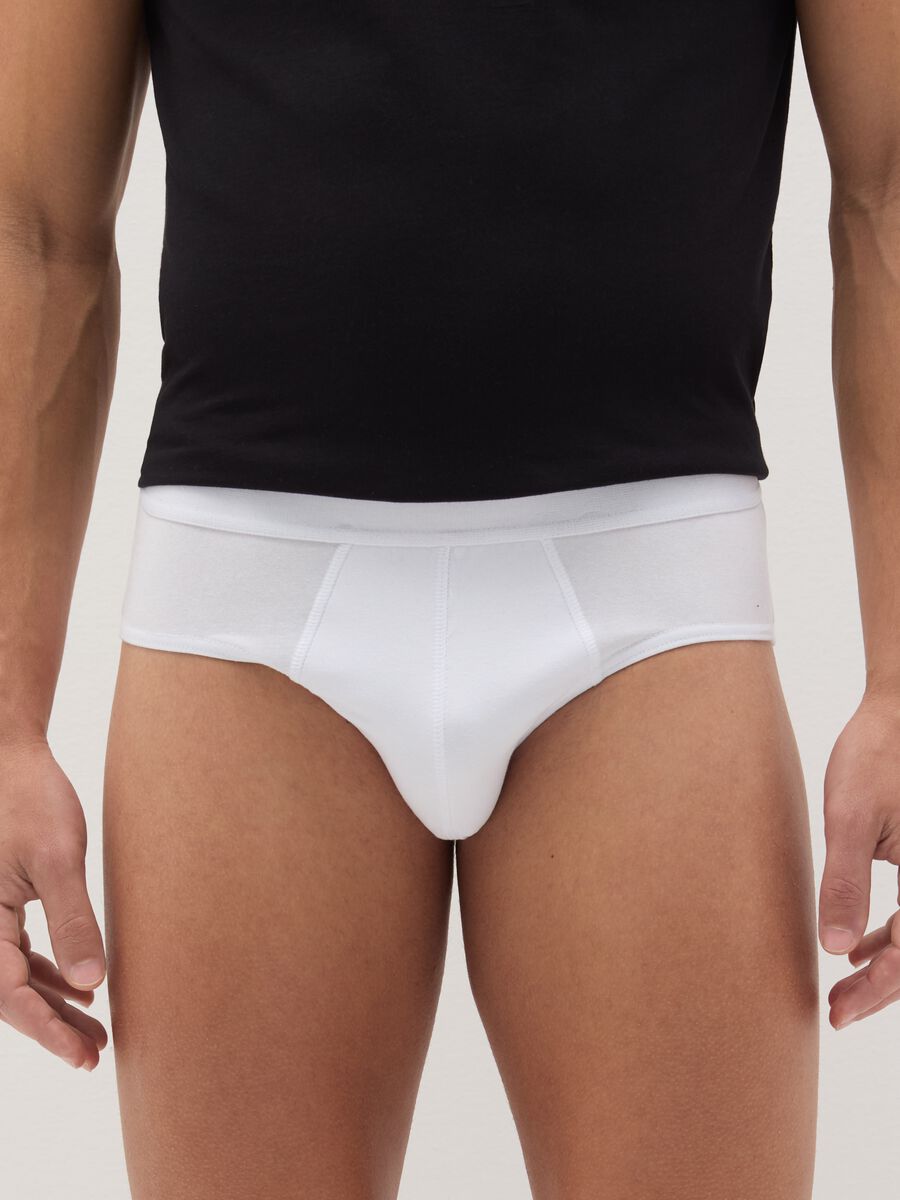 Five-pack organic cotton briefs_1