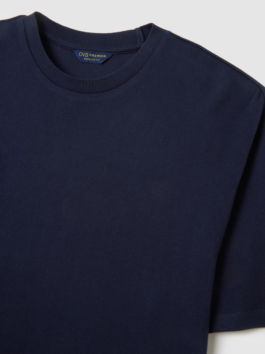 Blue Regular Fit Pure Cotton T-shirt_5