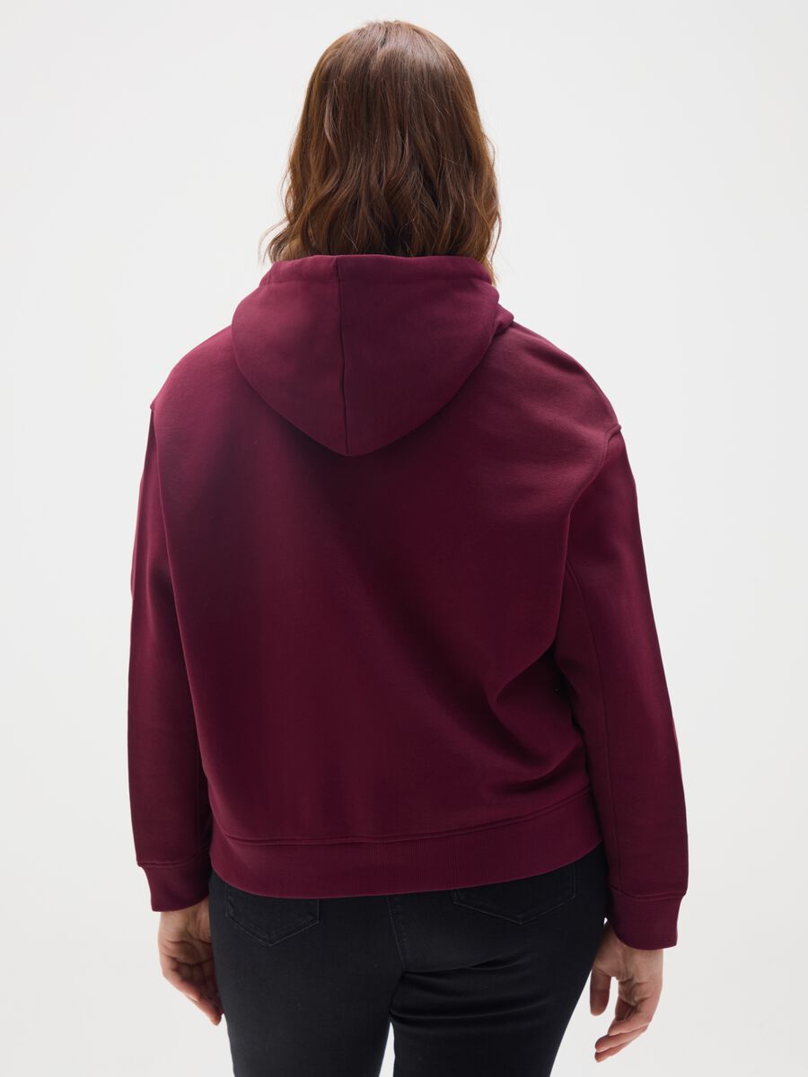 Purple Cotton Sweatshirt Regular Fit_3