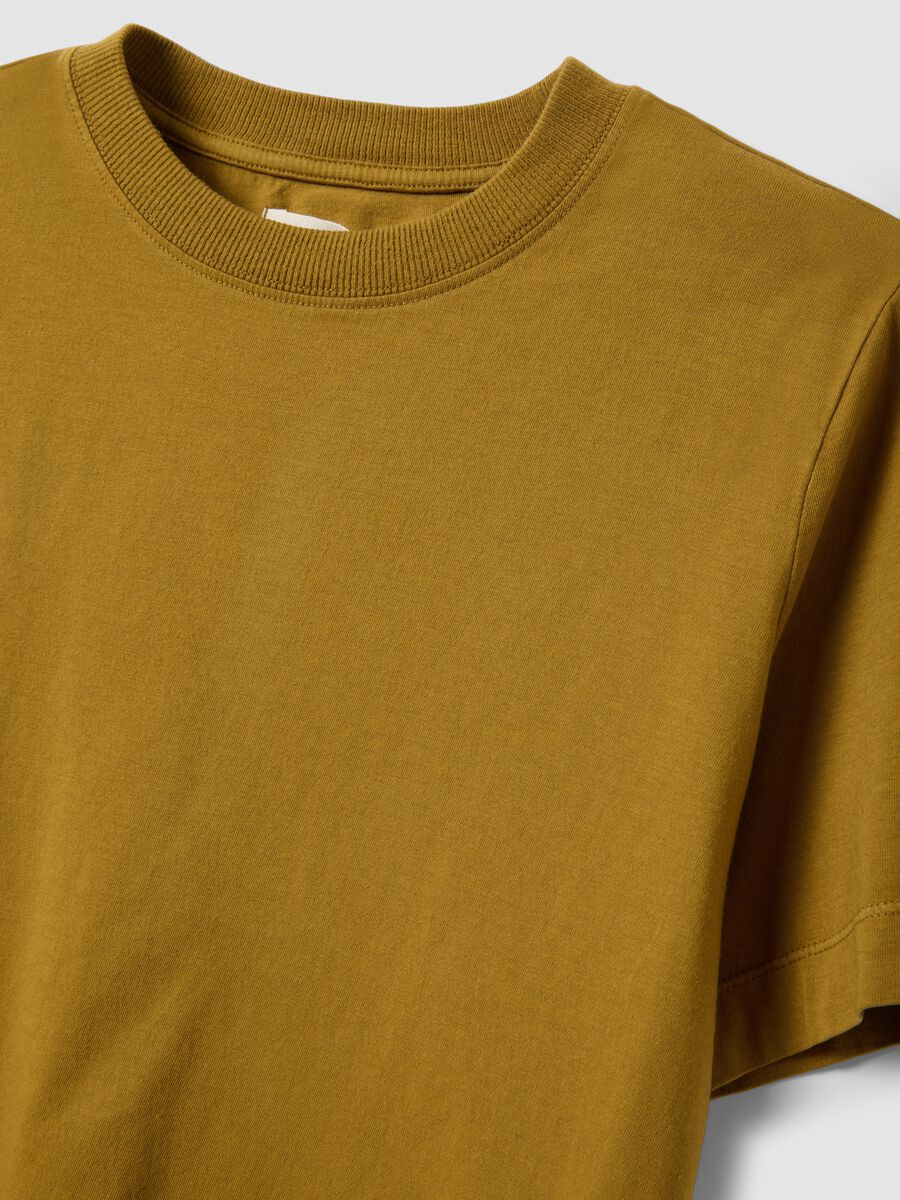 T-shirt marrone a maniche corte in puro cotone regular fit_5