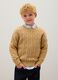 Beige pure cotton regular fit children's jumper_2
