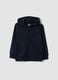 Blue hooded sweatshirt in pure organic cotton for boys, regular fit_0