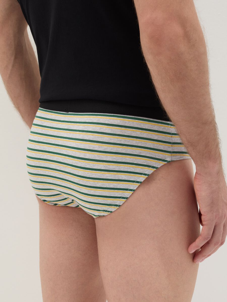 Patterned briefs in stretch cotton_3