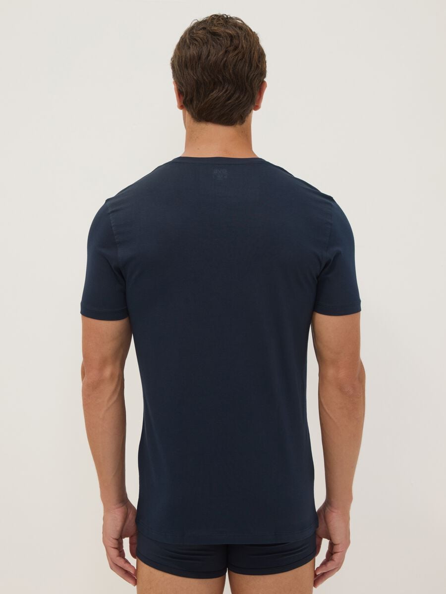 Blue pure Supima cotton V-neck T-shirt, regular fit_3