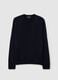 Regular fit blue crewneck sweater_0