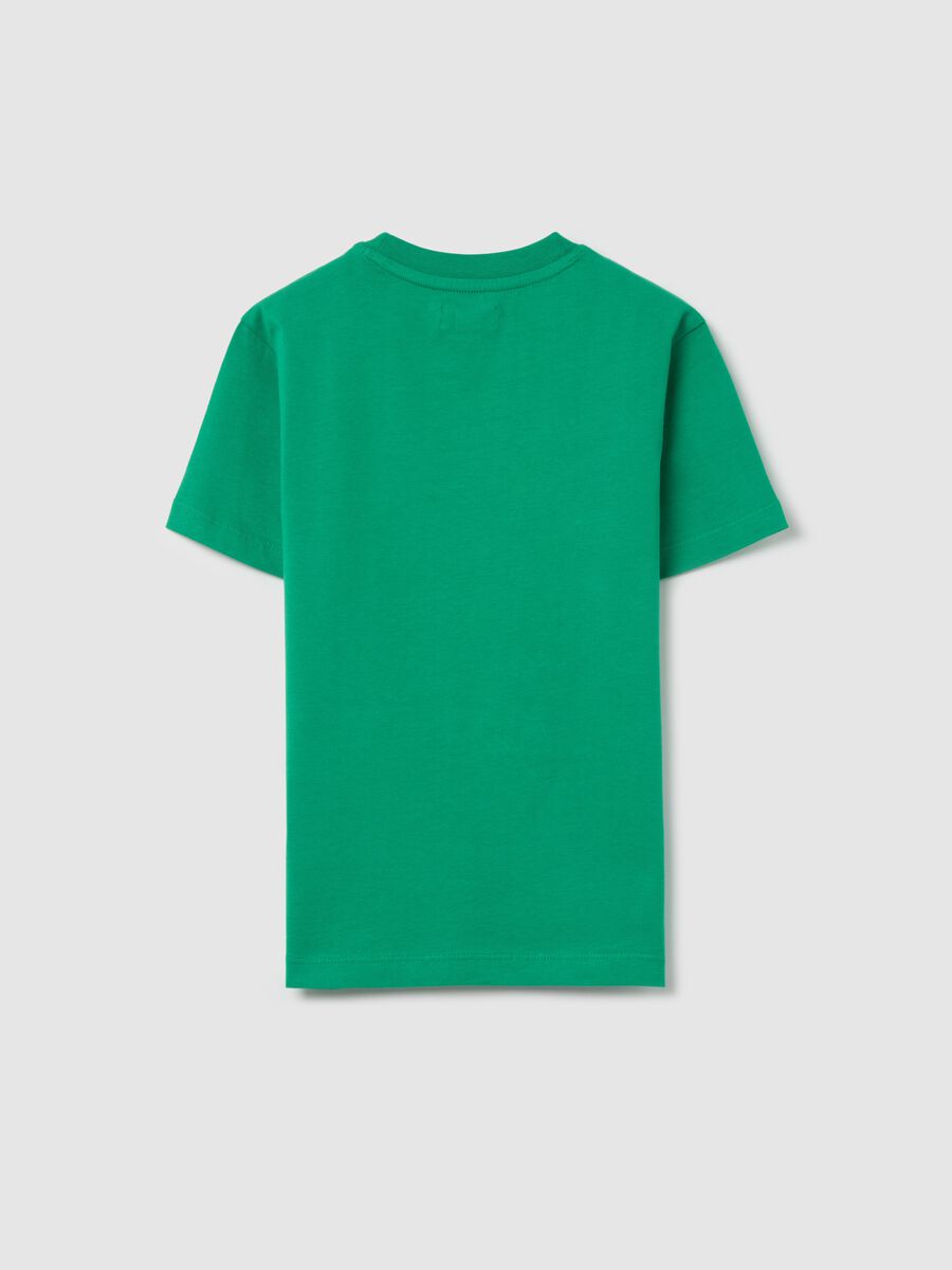 Cotton T-shirt with lettering embroidery_4