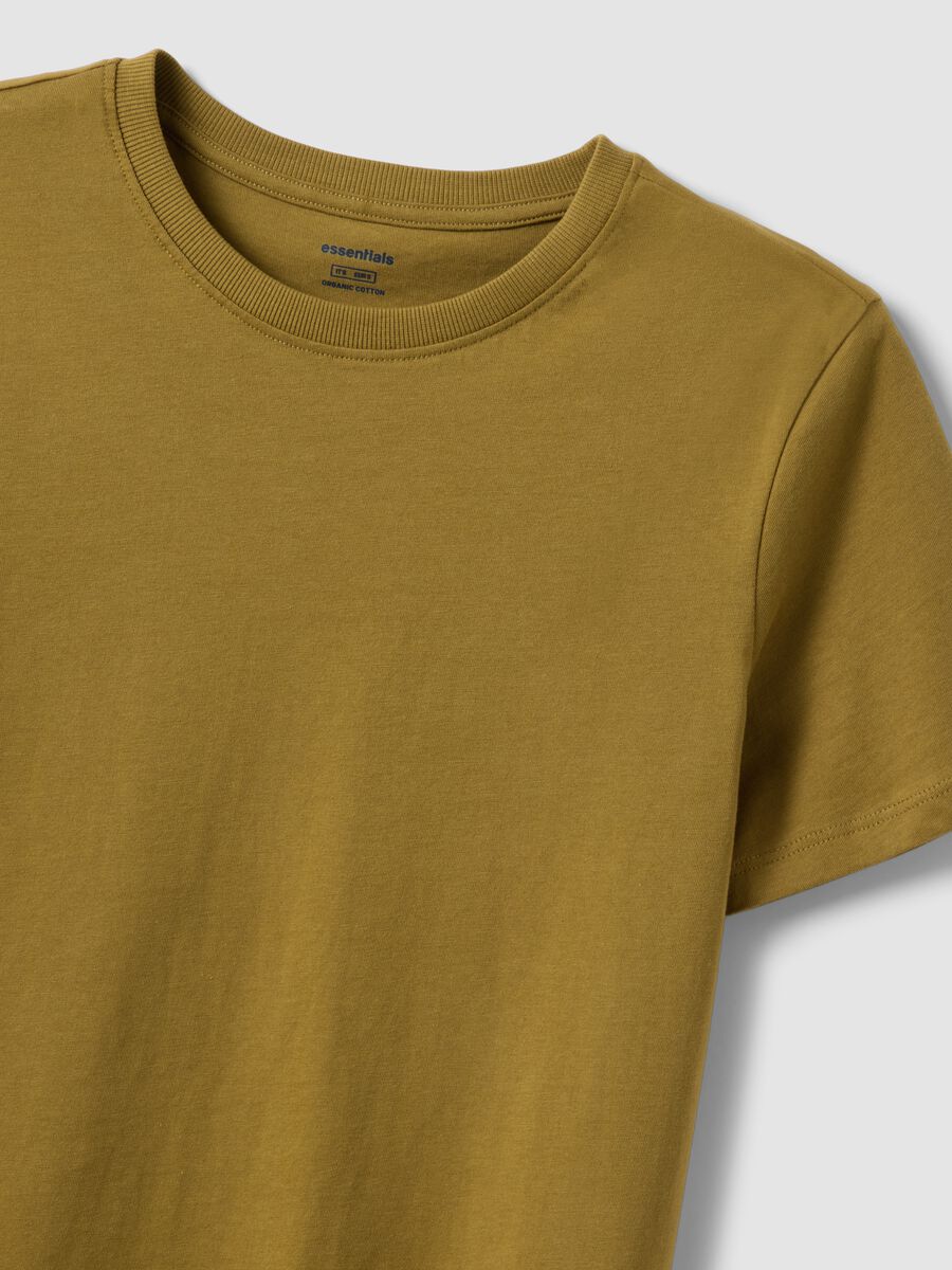 Green pure cotton short-sleeve T-shirt, regular fit_5