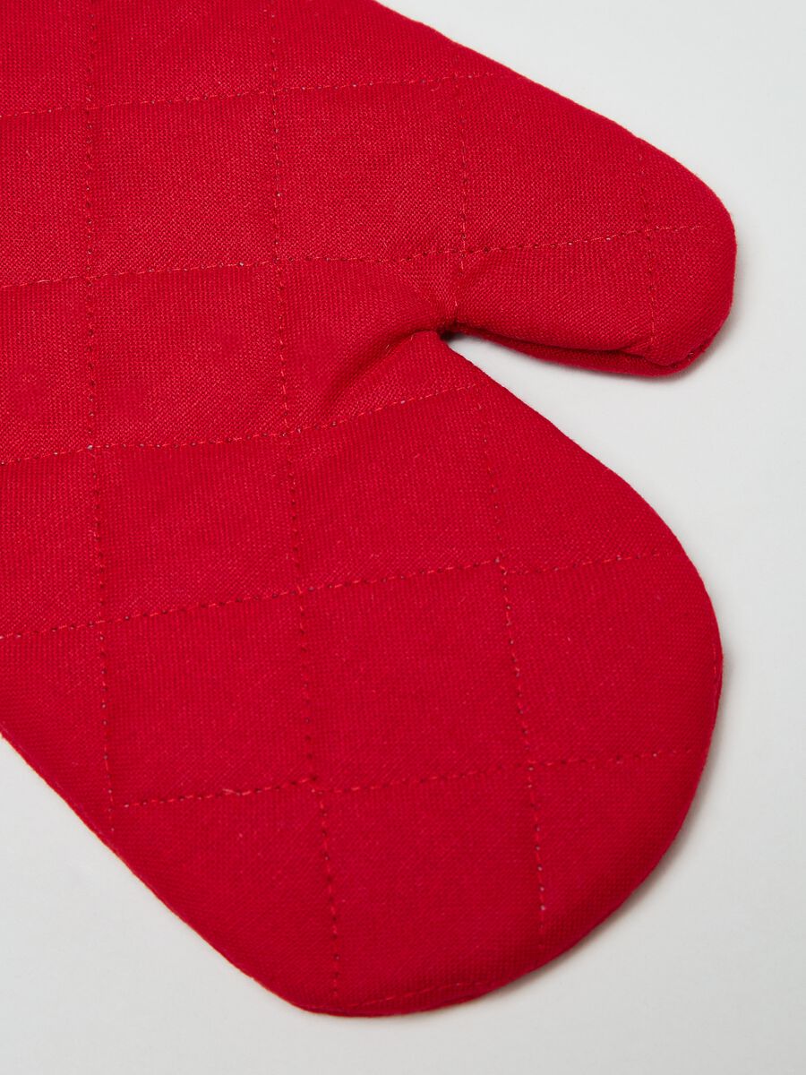 Oven mitt_2