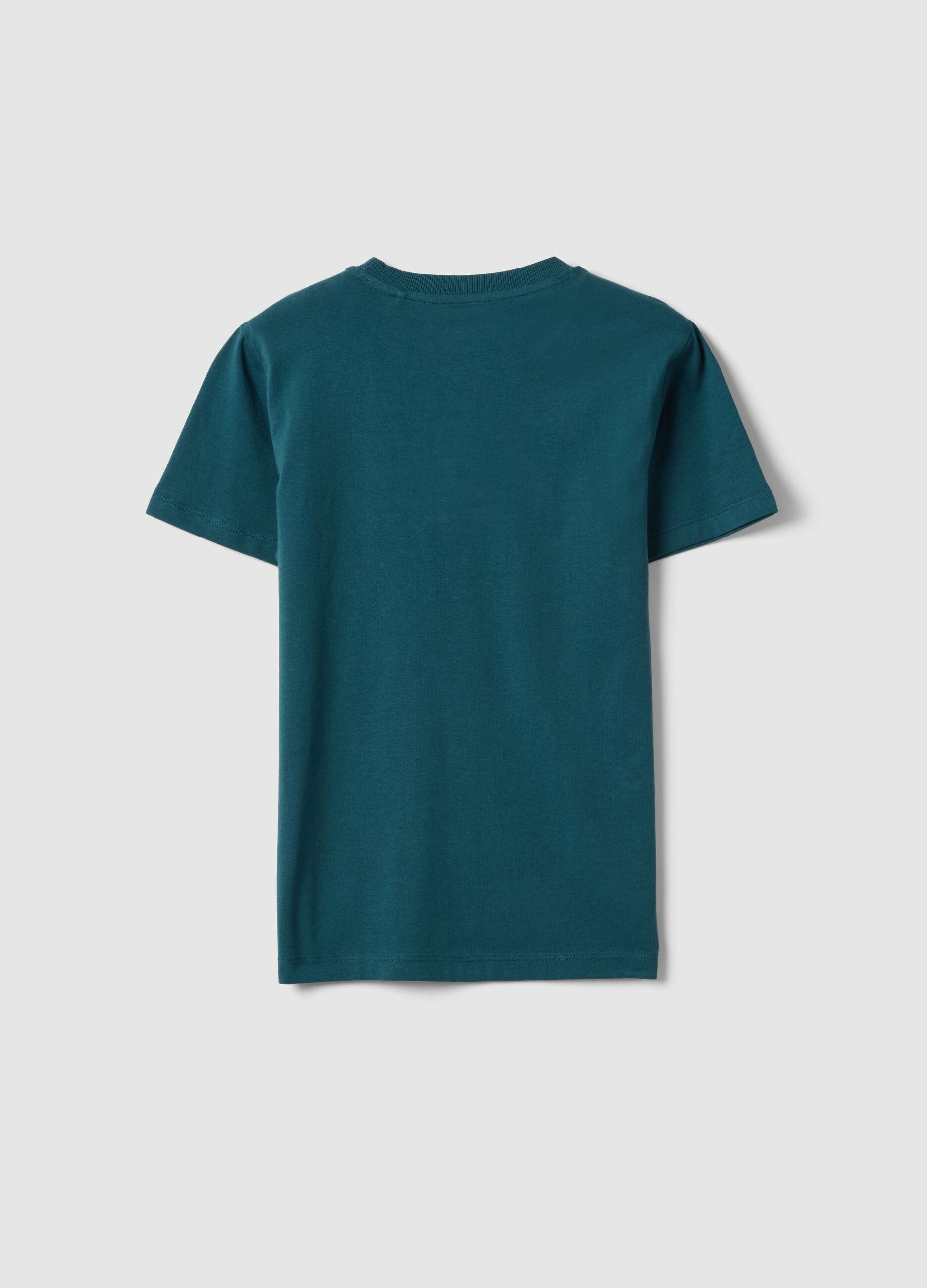 Boys' Regular Fit Green Pure Cotton T-shirt with Print